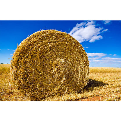 Vivolux | Feuchtigkeitsresistente Heuballen-Murale Personalisierte Moderne Wandverkleidung für Hausinterieur