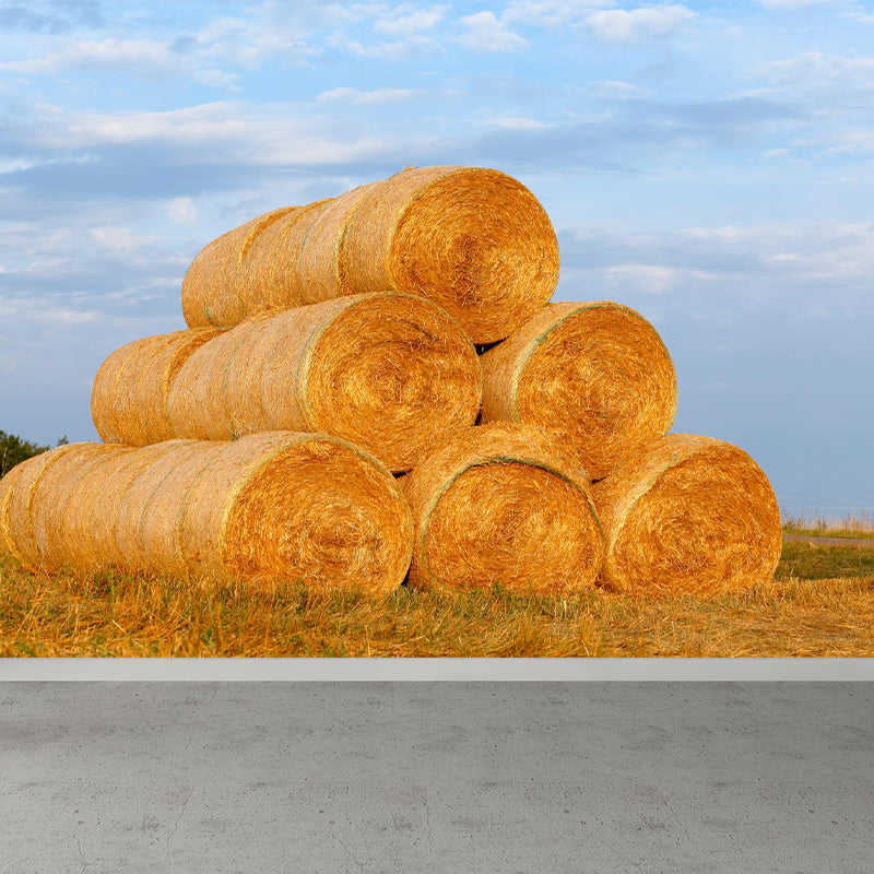 Vivolux | Feuchtigkeitsresistente Heuballen-Murale Personalisierte Moderne Wandverkleidung für Hausinterieur