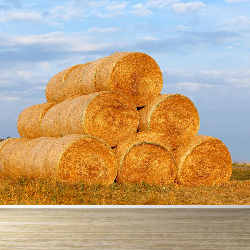 Vivolux | Feuchtigkeitsresistente Heuballen-Murale Personalisierte Moderne Wandverkleidung für Hausinterieur