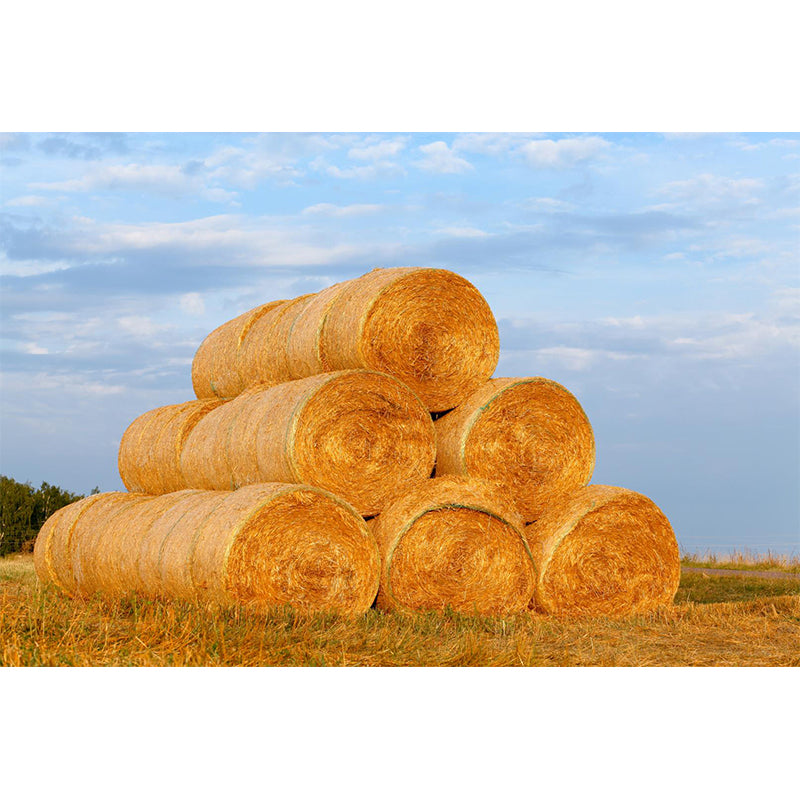 Vivolux | Feuchtigkeitsresistente Heuballen-Murale Personalisierte Moderne Wandverkleidung für Hausinterieur