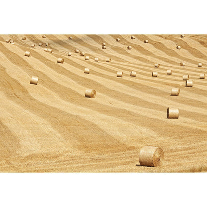 Vivolux | Feuchtigkeitsresistente Heuballen-Murale Personalisierte Moderne Wandverkleidung für Hausinterieur