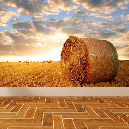 Vivolux | Feuchtigkeitsresistente Heuballen-Murale Personalisierte Moderne Wandverkleidung für Hausinterieur