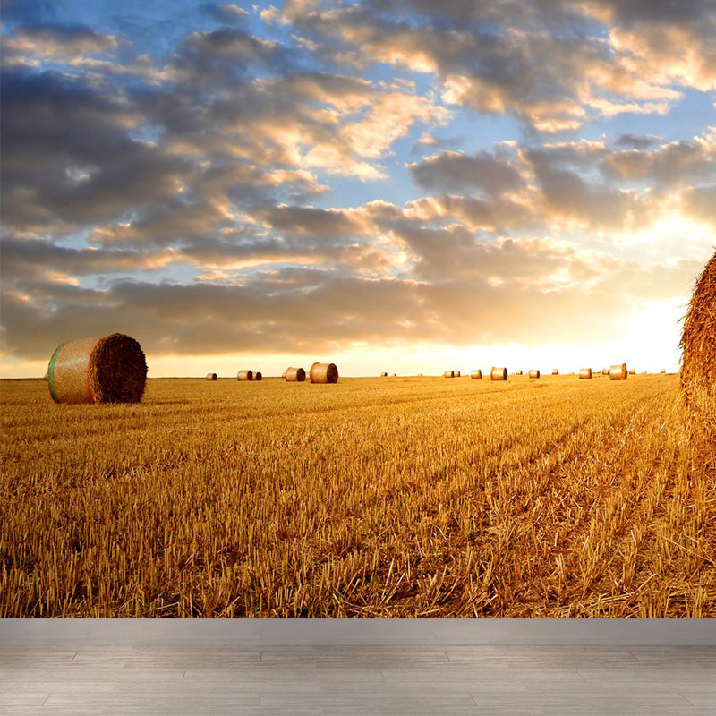 Vivolux | Feuchtigkeitsresistente Heuballen-Murale Personalisierte Moderne Wandverkleidung für Hausinterieur