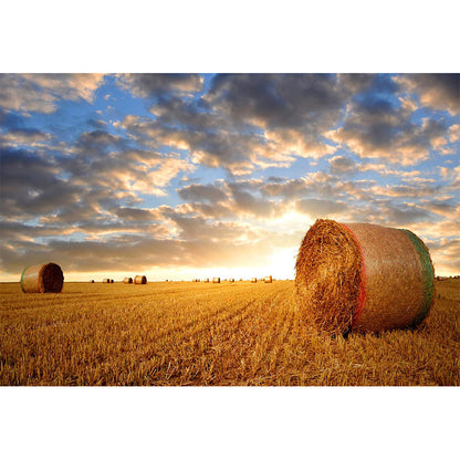 Vivolux | Feuchtigkeitsresistente Heuballen-Murale Personalisierte Moderne Wandverkleidung für Hausinterieur