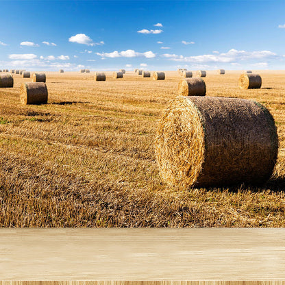 Vivolux | Feuchtigkeitsresistente Heuballen-Murale Personalisierte Moderne Wandverkleidung für Hausinterieur