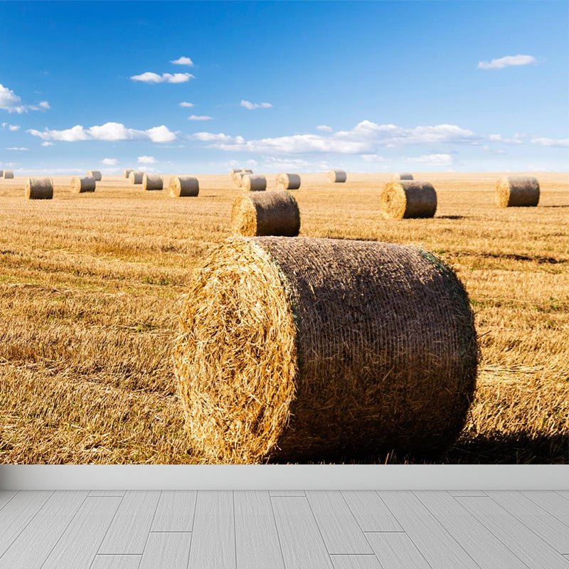 Vivolux | Feuchtigkeitsresistente Heuballen-Murale Personalisierte Moderne Wandverkleidung für Hausinterieur