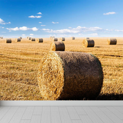 Vivolux | Feuchtigkeitsresistente Heuballen-Murale Personalisierte Moderne Wandverkleidung für Hausinterieur