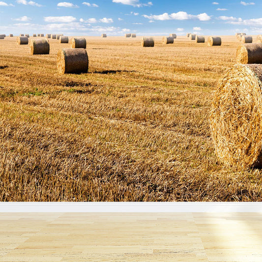 Vivolux | Feuchtigkeitsresistente Heuballen-Murale Personalisierte Moderne Wandverkleidung für Hausinterieur