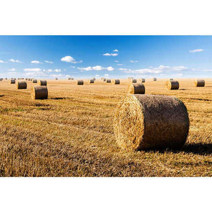 Vivolux | Feuchtigkeitsresistente Heuballen-Murale Personalisierte Moderne Wandverkleidung für Hausinterieur