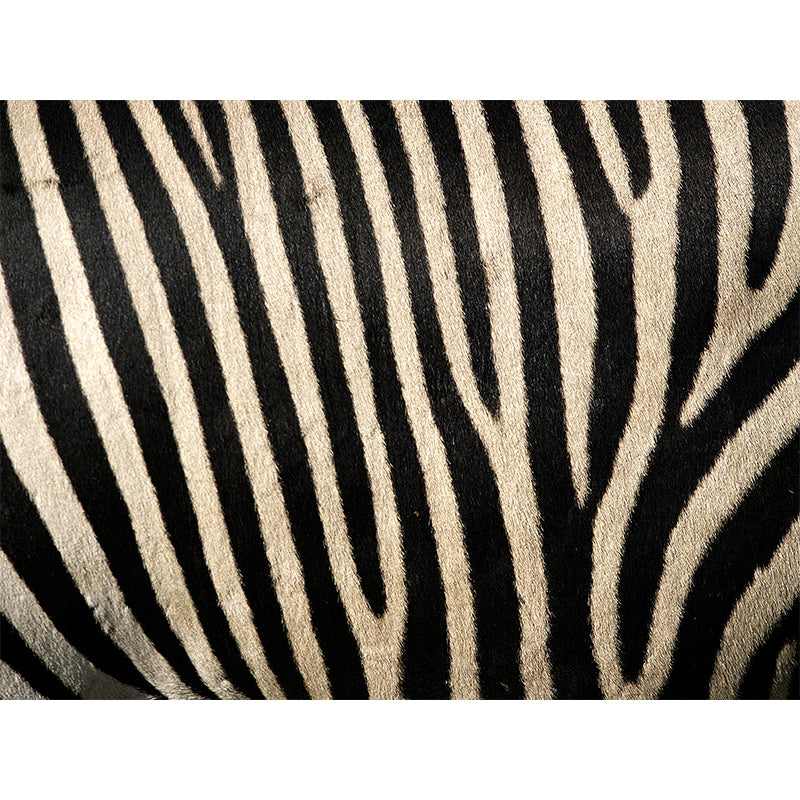 Vivolux | Donkere kleur moderne wandmuur sticker grote dierenprint wandbekleding voor woonkamer