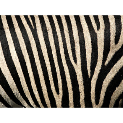 Vivolux | Donkere kleur moderne wandmuur sticker grote dierenprint wandbekleding voor woonkamer