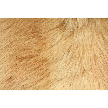 Vivolux | Fotografische Dierenhaarpelprint Muur Full Size Wanddecoratie für Jungenzimmer, Maßgeschneidert