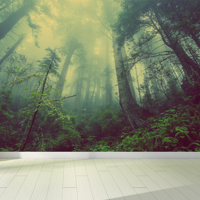 Vivolux | Cloudrijke boslandschap muur tattoo hedendaagse non-woven wandbedekking in zachte kleuren