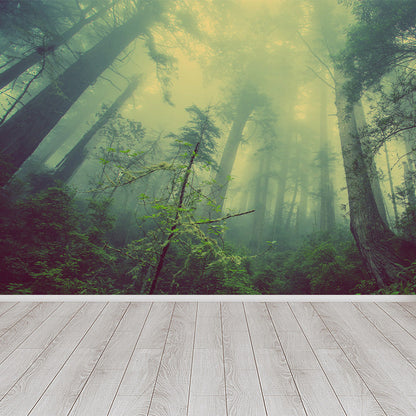 Vivolux | Cloudrijke boslandschap muur tattoo hedendaagse non-woven wandbedekking in zachte kleuren