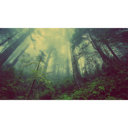 Vivolux | Cloudrijke boslandschap muur tattoo hedendaagse non-woven wandbedekking in zachte kleuren