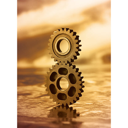 Vivolux | Fotografisches Zahnrad Tapete für Hausinterieur, Sanfte Farbe, Anpassbare Größe