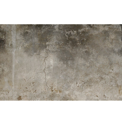 Vivolux | Fotografisches Zahnrad Tapete für Hausinterieur, Sanfte Farbe, Anpassbare Größe