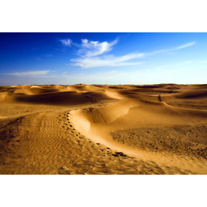 Vivolux | Gelbe Wüstenlandschaft Tapete Mural Fleckenresistente Wandverkleidung für das Wohnzimmer