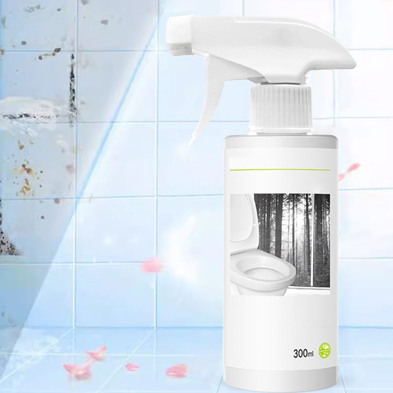 Vivolux | Kraftvolles Reinigungsmittel für Flecken im Toilettenglanz mit Oxalsäure