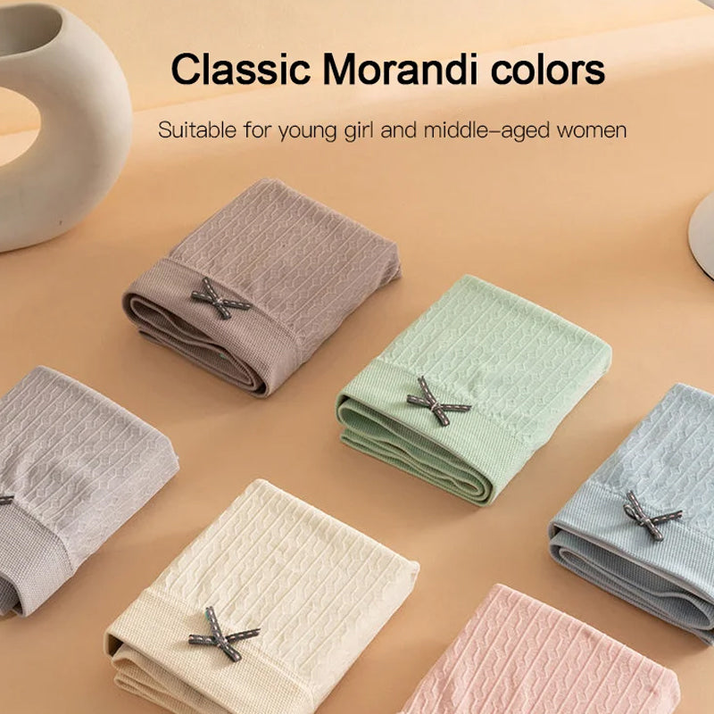 Vivolux | Baumwoll-Antibakterielle Unterhosen (5 Stück)