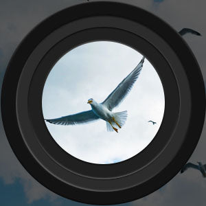 Vivolux | Fernglas Hochleistung Nachtsicht Wasserdicht