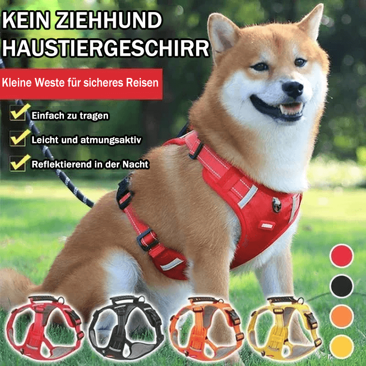 Vivolux | Kein Zug-Hundegeschirr für Haustiere
