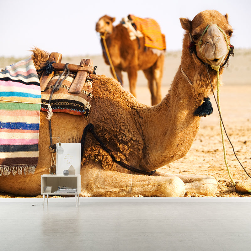Vivolux | Fotografische Kameel Muurdecoratie Volledige Maat Wandbedekking voor Woonkamer, Op Maat Gemaakt