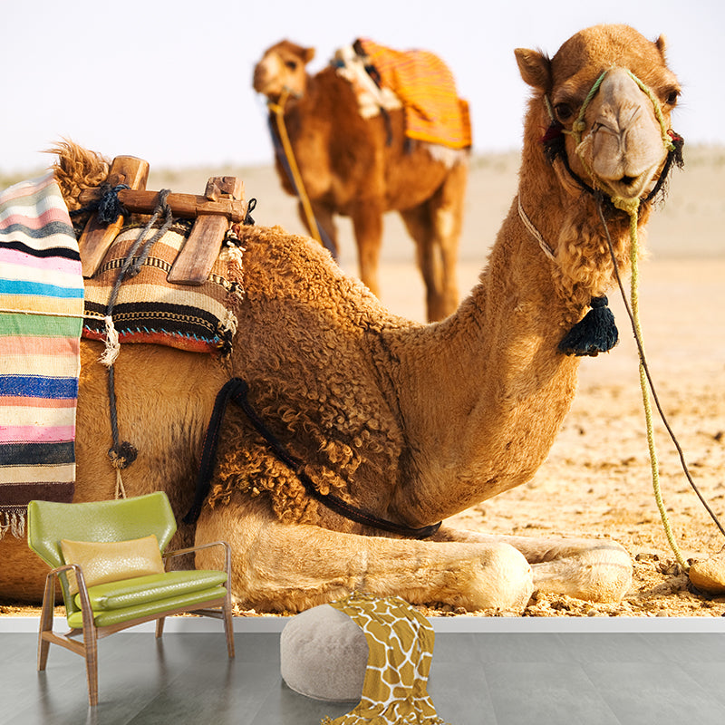 Vivolux | Fotografische Kameel Muurdecoratie Volledige Maat Wandbedekking voor Woonkamer, Op Maat Gemaakt