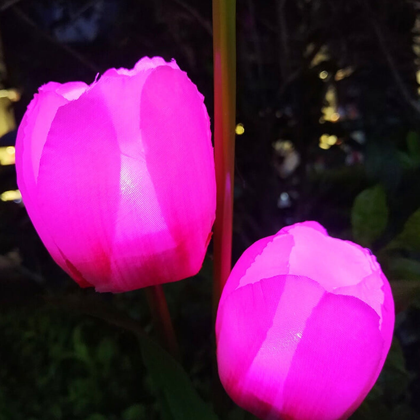 Vivolux | Solar Tulpe Rasenlicht Außen Garten LED Tulpe Blumenlicht Bodenstecker Landschaftslicht
