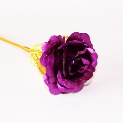 Vivolux | 24K Gold Rosen