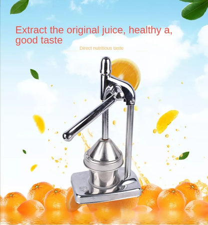 Vivolux | Stainless Steel Fruit Juicer