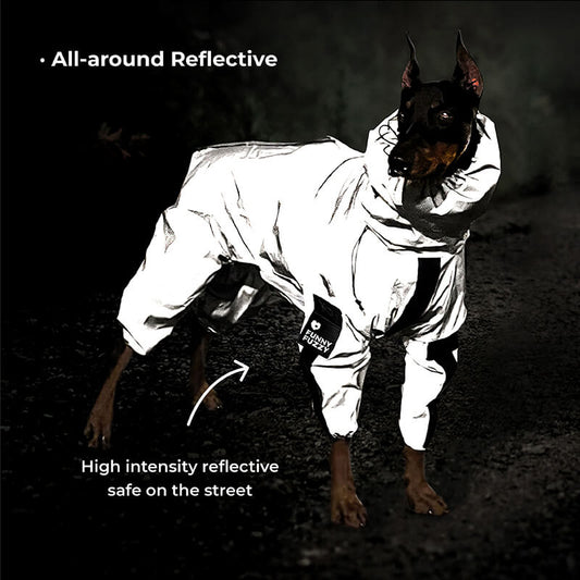 Vivolux | Reflektierender Allwetter wasserdichter cooler Hundezubehör Regenmantel