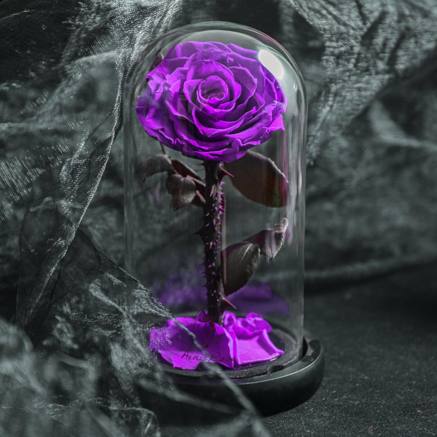 Forever Rose, Immerwährende Rose in Glaskuppel, 3 Tage Lieferzeit, Blau