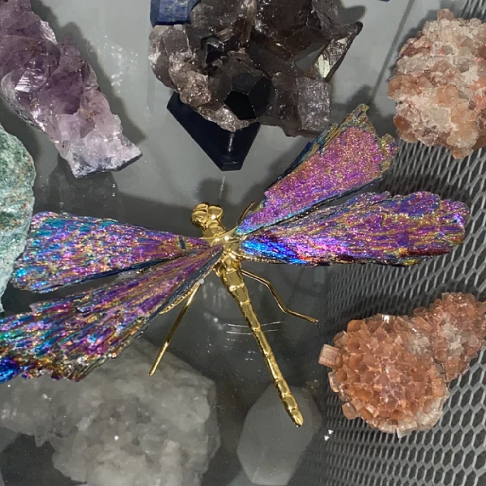 Vivolux | Aurora Libelle Charm