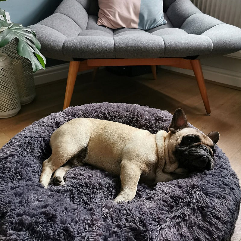 Vivolux | Runder Plüsch Beruhigender Donut Hundebett für kleine bis große Hunde