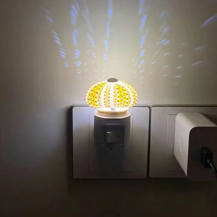 Vivolux | LumiCraft – Einzigartige DIY Tischlampe mit natürlicher Urmuschel für eine stimmungsvolle Einrichtung