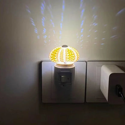 Vivolux | LumiCraft – Einzigartige DIY Tischlampe mit natürlicher Urmuschel für eine stimmungsvolle Einrichtung