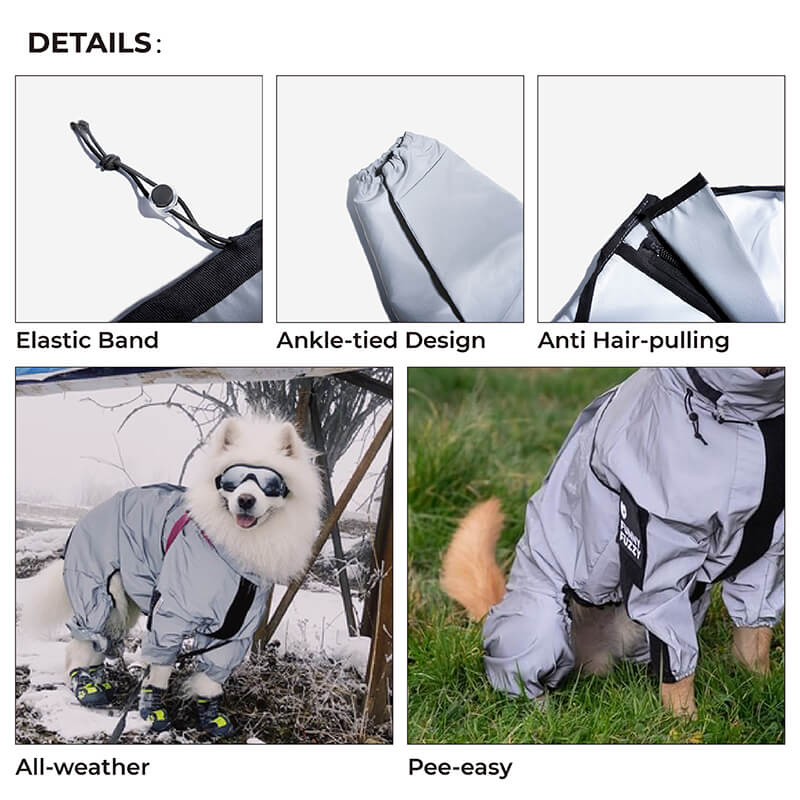 Vivolux | Reflektierender Allwetter wasserdichter cooler Hundezubehör Regenmantel