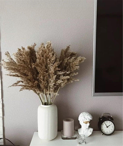 Vivolux | 60 cm natürlicher, echter, braun-beiger getrockneter Pampasgrasstrauß │ flauschige Feder für moderne Boho-Heimdekoration