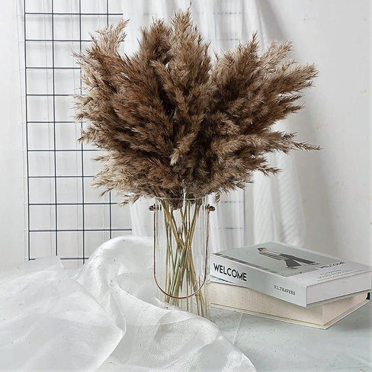 Vivolux | 60 cm natürlicher, echter, braun-beiger getrockneter Pampasgrasstrauß │ flauschige Feder für moderne Boho-Heimdekoration