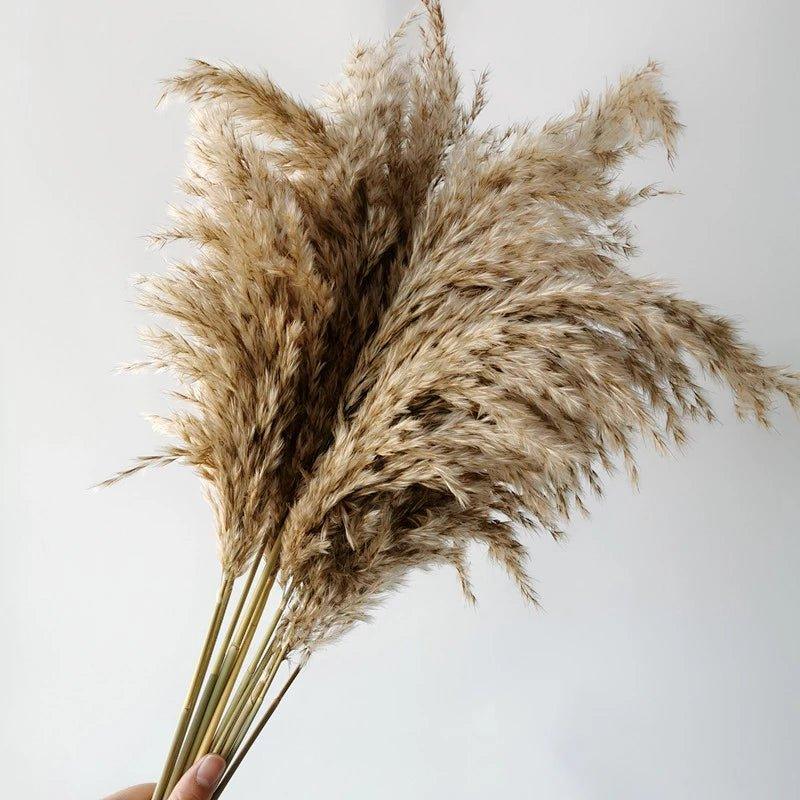 Vivolux | 60 cm natürlicher, echter, braun-beiger getrockneter Pampasgrasstrauß │ flauschige Feder für moderne Boho-Heimdekoration