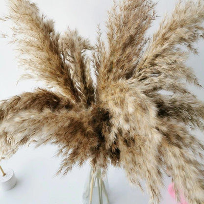 Vivolux | 60 cm natürlicher, echter, braun-beiger getrockneter Pampasgrasstrauß │ flauschige Feder für moderne Boho-Heimdekoration