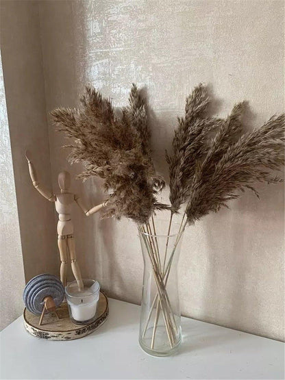Vivolux | 60 cm natürlicher, echter, braun-beiger getrockneter Pampasgrasstrauß │ flauschige Feder für moderne Boho-Heimdekoration