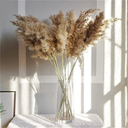 Vivolux | 60 cm natürlicher, echter, braun-beiger getrockneter Pampasgrasstrauß │ flauschige Feder für moderne Boho-Heimdekoration