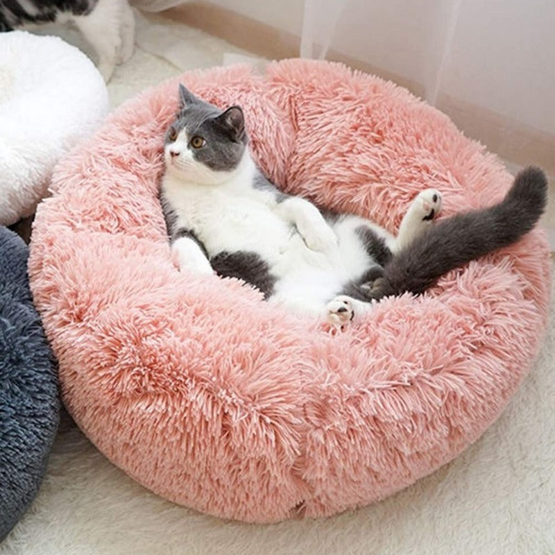 Vivolux | PawNest Beruhigendes Donut-Katzenbett | Rundes Plüsch Nest | Stresslindernd & Gemütlich | Perfekt für Katzen & kleine Hunde