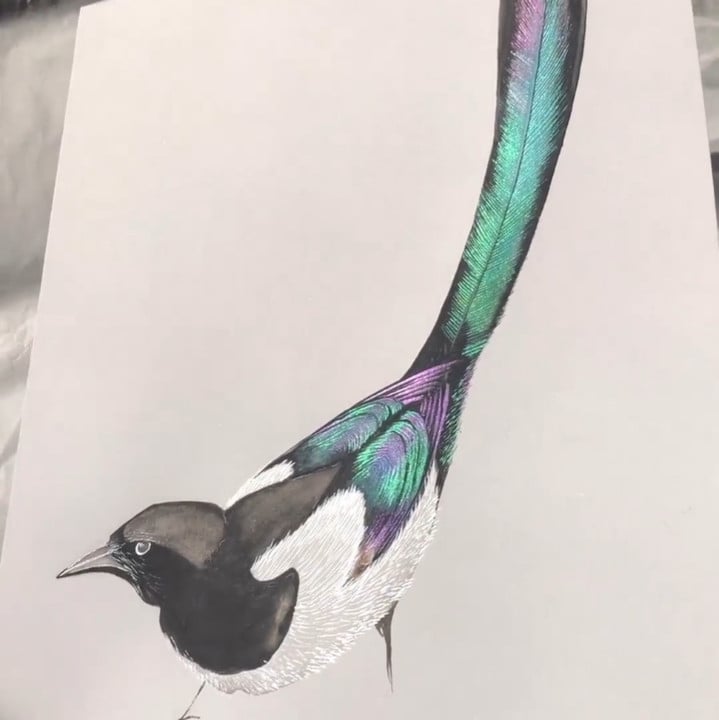 20 Farben Aquarell Malkasten