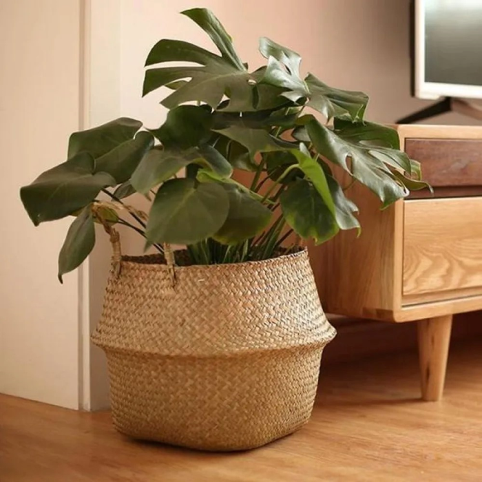 Vivolux | Rattan Pflanzenhalter