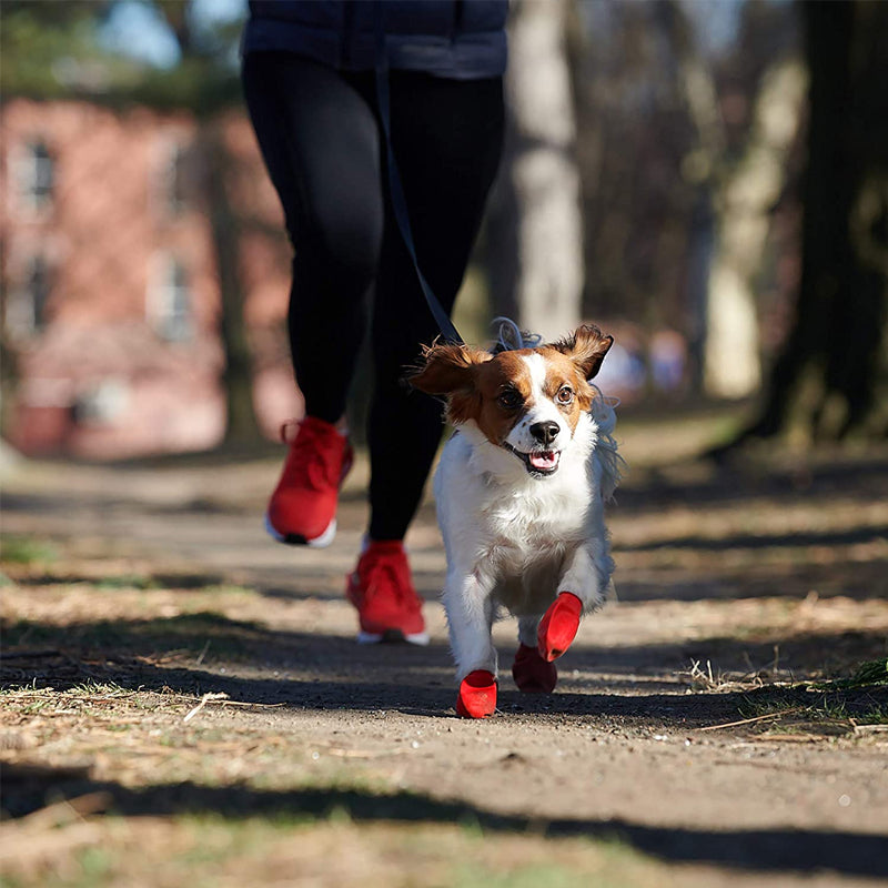 Wasserdichte Hundeschuhe zum Schutz der Pfoten