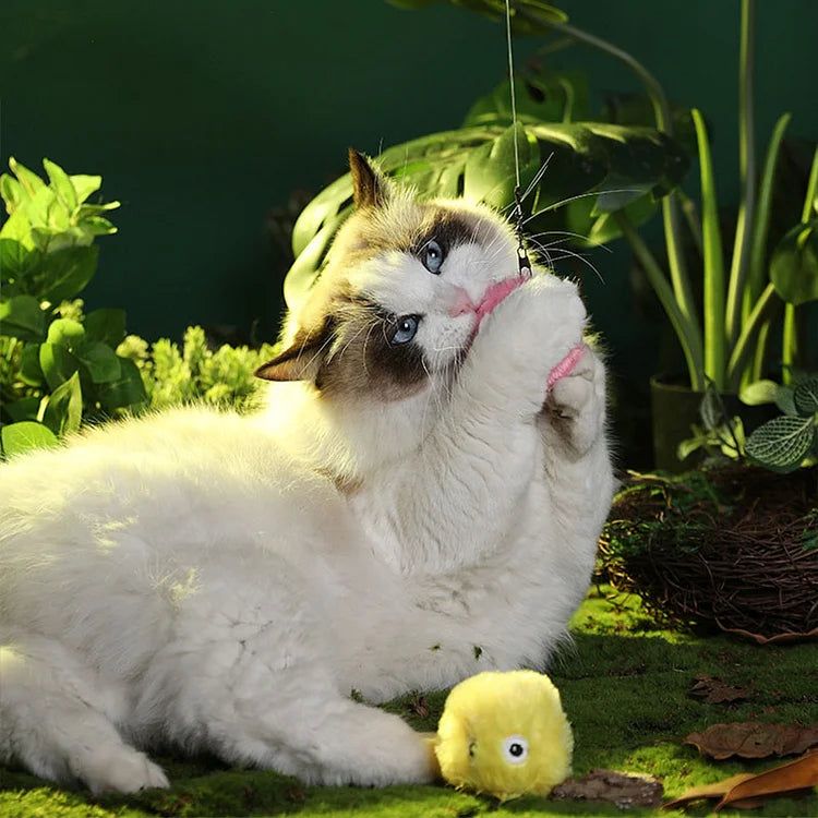 Vivolux | – intelligenter interaktiver Plüschball für Katzen | 1 kaufen, 1 gratis bekommen 🎁