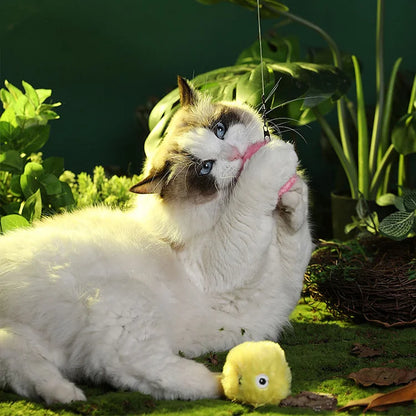 Vivolux | – intelligenter interaktiver Plüschball für Katzen | 1 kaufen, 1 gratis bekommen 🎁